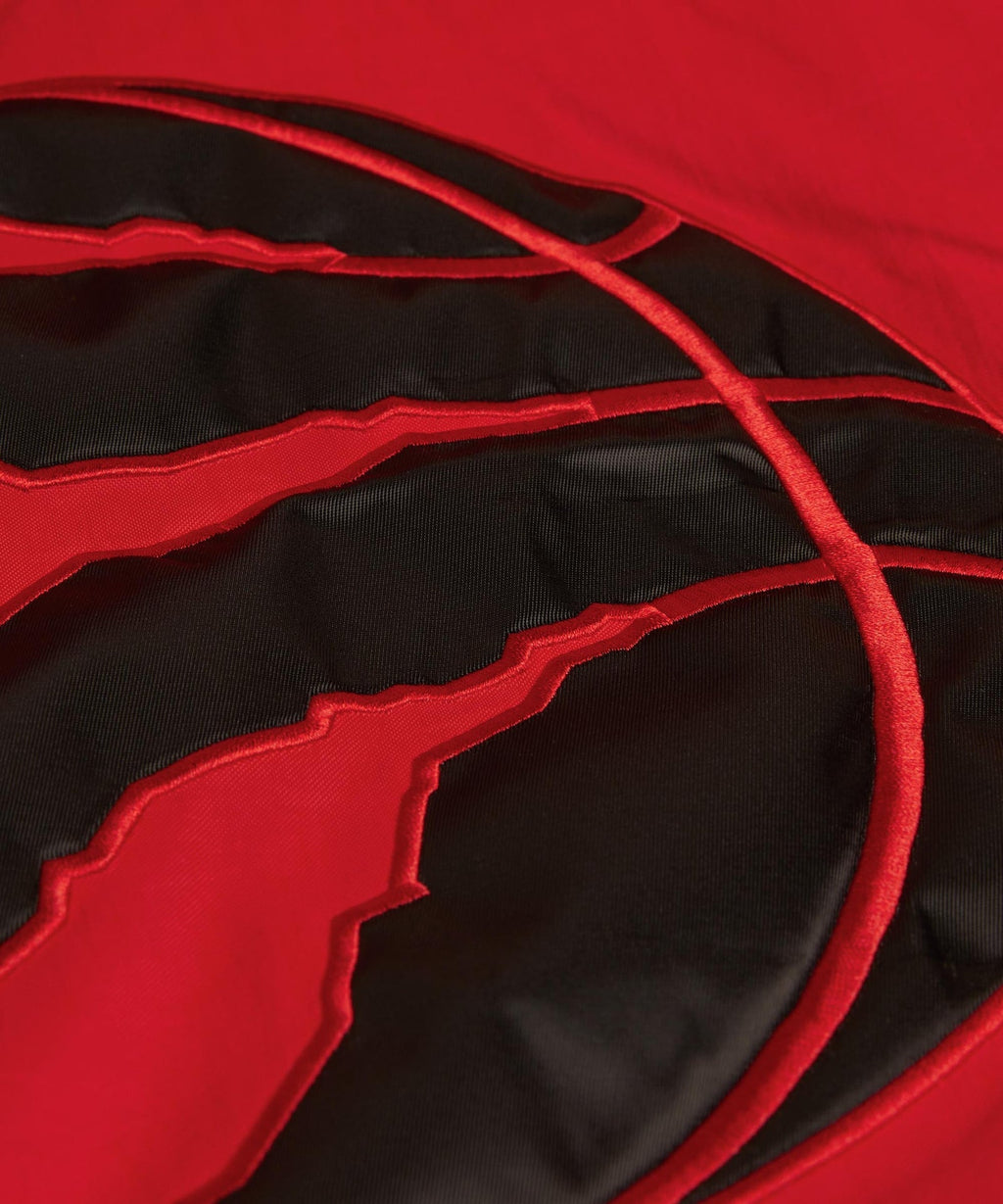 Raptors Inspired Hooded Pullover Jacket