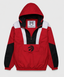 Raptors Inspired Hooded Pullover Jacket